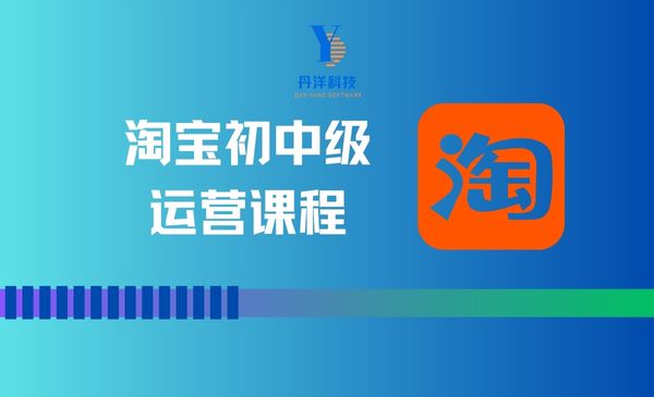 （17002）淘宝初中级运营课程
