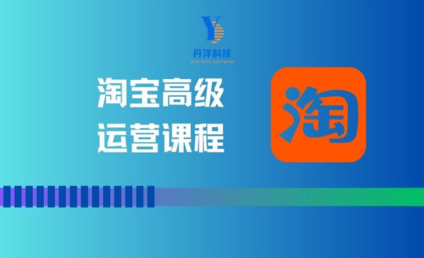 （17003）淘宝高级运营课程