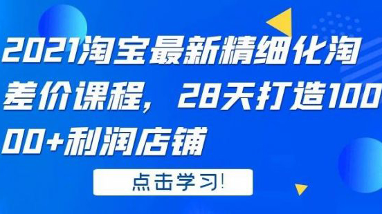 2021淘宝最新精细化淘差价课程，28天打造10000+利润店铺