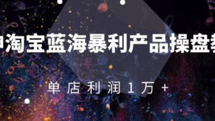淘宝蓝海暴利产品操盘教程: 从零到单店利润10000+详细实操（付费文章）