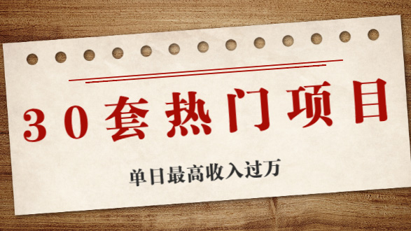 30套热门项目: 网赚项目、朋友圈、涨粉套路、抖音、快手 单日最高收入过万