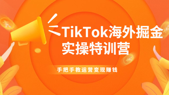 TikTok海外掘金实操特训营: 手把手教运营变现赚钱