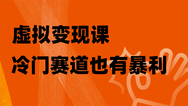 虚拟变现课，冷门赛道也有暴利，手把手教你玩转冷门私域