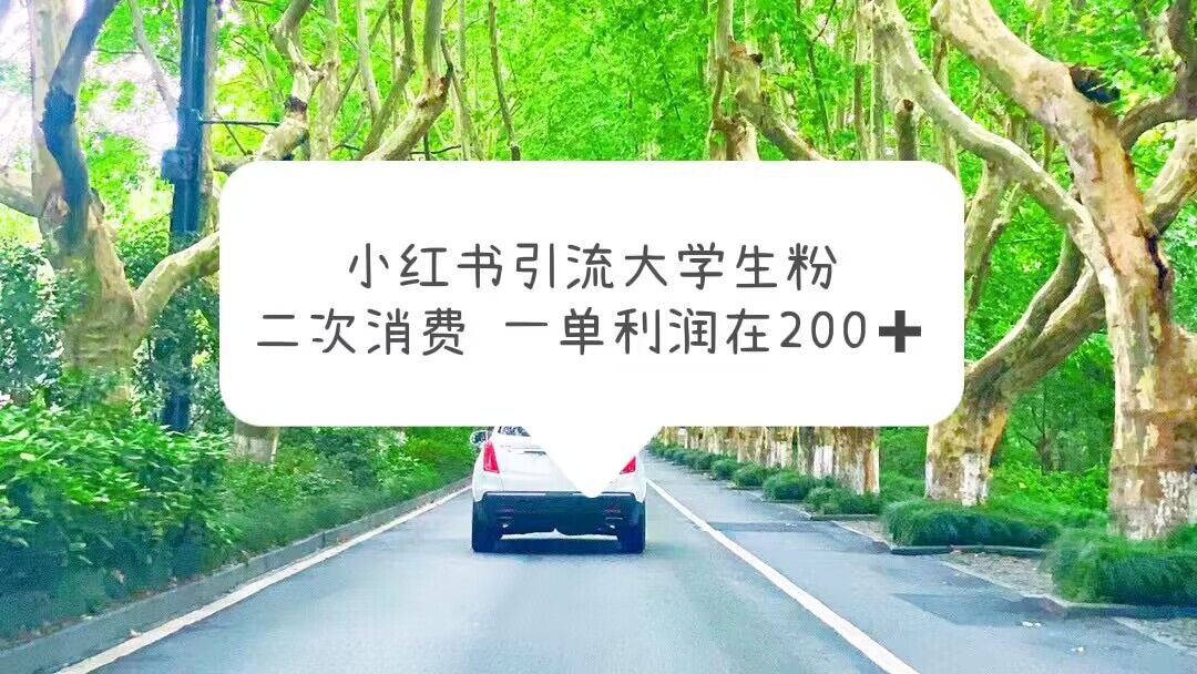 小红书引流大学生粉，变现项目，一单利润在200+ (教程+资源